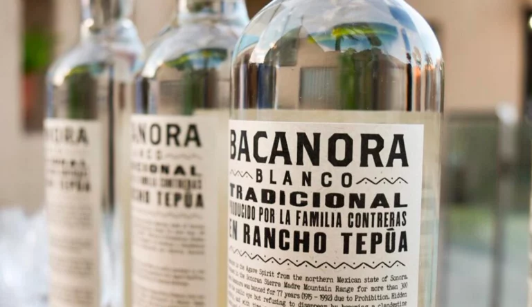 botellas-de-bacanora
